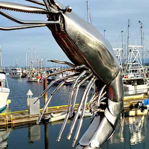The Knight of Saanich Inlet by Ian Lowe 