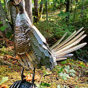 The Boss by Ian Lowe 