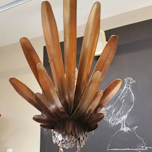 The Boss by Ian Lowe 