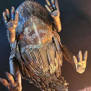 Dont Panic by Ian Lowe 