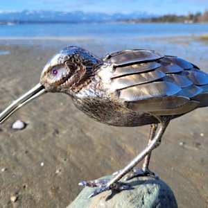 Shine on by Ian Lowe 