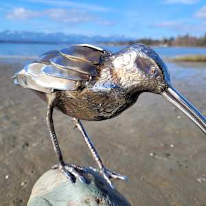 Shine on by Ian Lowe 