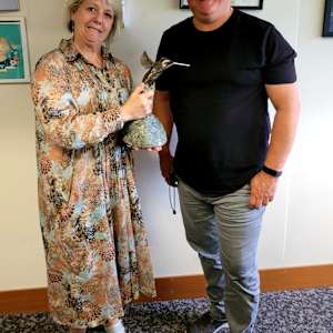 Resilience 1.0 by Ian Lowe 