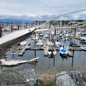 Mr. Prawn by Ian Lowe 