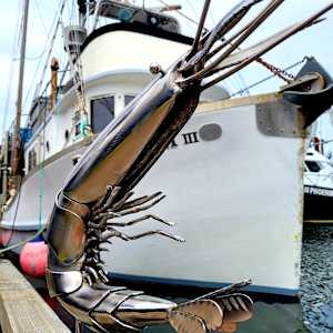 Mr. Prawn by Ian Lowe 