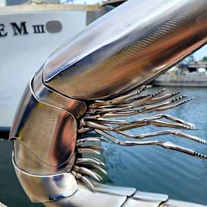 Mr. Prawn by Ian Lowe 