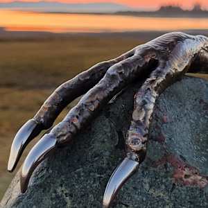 Regeneration by Ian Lowe 