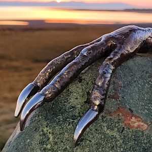 Regeneration by Ian Lowe 