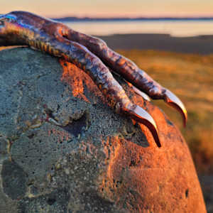 Regeneration by Ian Lowe 