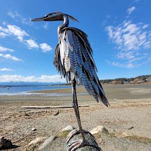 Elegant Wisdom by Ian Lowe 