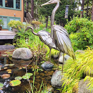 The Hunter by Ian Lowe 