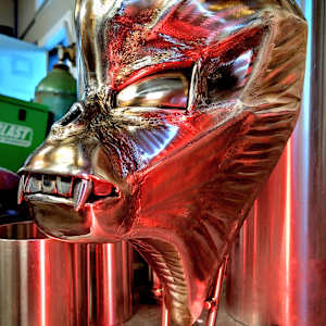 R*evolution by Ian Lowe 