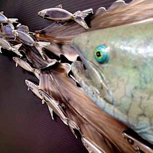 The Chase (1.0) by Ian Lowe 