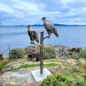 Eternity by Ian Lowe 