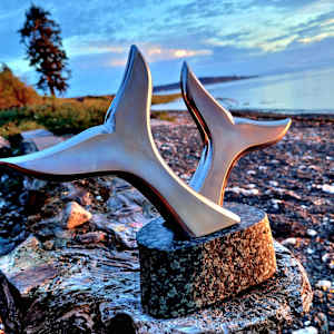 Tango by Lowe Tide Design 