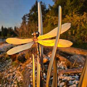 Carole and Friends by Lowe Tide Design 