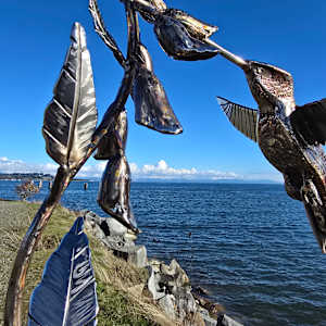 Joyful Messenger by Lowe Tide Design 