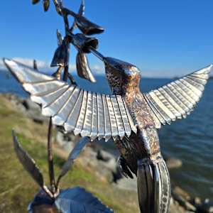 Joyful Messenger by Lowe Tide Design 