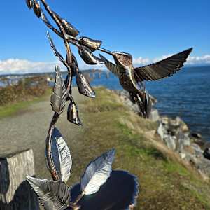 Joyful Messenger by Lowe Tide Design 