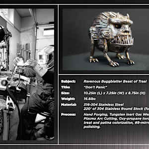 Dont Panic by Ian Lowe 