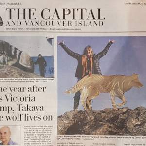 Takaya the Lone Wolf by Ian Lowe