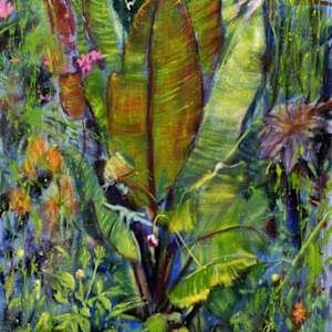 Witness of the Sun by Neil McClelland