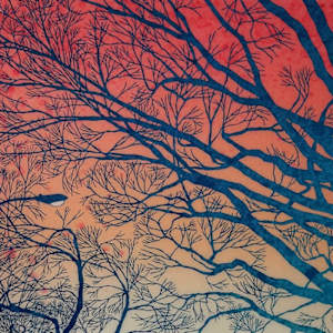 Boulevard Trees by Jeff Sylvester