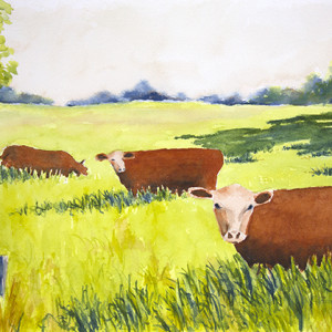 Three Red Cows by Robin Edmundson