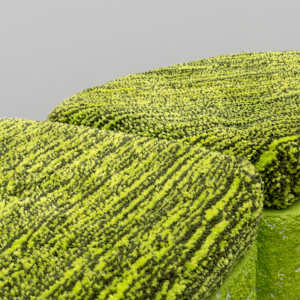 Hedges of Comfort by Jess Stapf, Image 2.