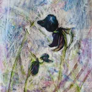 Flying Duck Orchid 1 by Gemma Kennedy