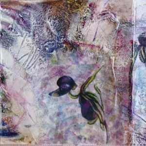 Flying Duck Orchid 4 by Gemma Kennedy