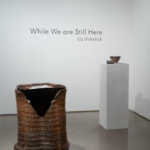 Well by Liz Vukelich 