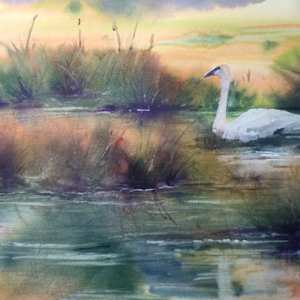 Do You Hear That Trumpeter Call? by Robin Knox