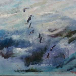 Wild Wings by Robin Knox
