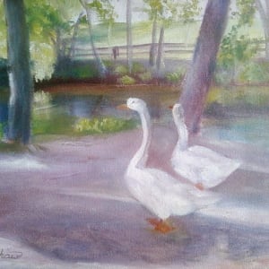 Swans at Smithville Park by Sheila Mashaw