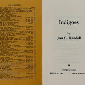 Indigoes by Jon C. Randall, Image 2.