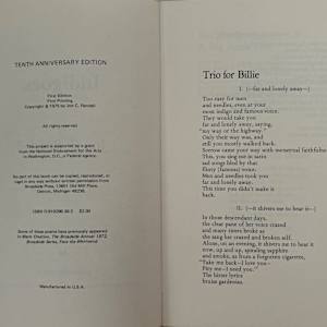 Indigoes by Jon C. Randall, Image 3.