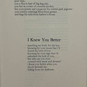 Indigoes by Jon C. Randall, Image 5.