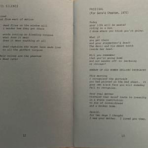 Inside the Devil's Mouth by Pamela Cobb, Image 6.