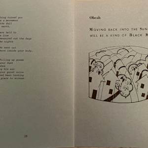 Inside the Devil's Mouth by Pamela Cobb, Image 7.
