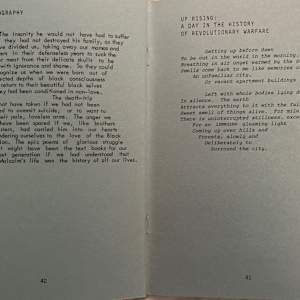 Inside the Devil's Mouth by Pamela Cobb, Image 8.