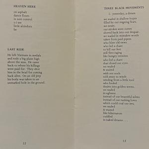 Half Black, Half Blacker by Sterling Plumpp, Image 10.