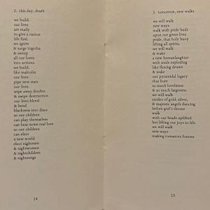 Half Black, Half Blacker by Sterling Plumpp, Image 11.