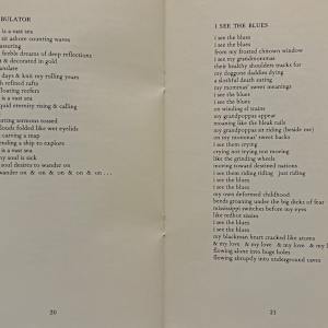Half Black, Half Blacker by Sterling Plumpp, Image 14.
