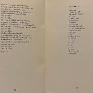 Half Black, Half Blacker by Sterling Plumpp, Image 15.