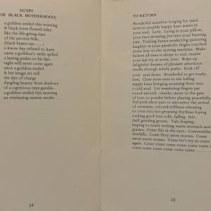 Half Black, Half Blacker by Sterling Plumpp, Image 16.