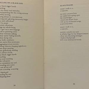 Half Black, Half Blacker by Sterling Plumpp, Image 18.