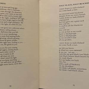 Half Black, Half Blacker by Sterling Plumpp, Image 19.