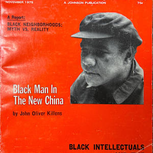 Black World - November 1975 by Hoyt W. Fuller