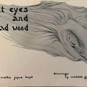 Cat Eyes & Dead Wood by Melba Joyce Boyd, Michele Gibbs Russell, Image 1.